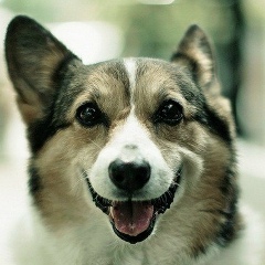 Павел Правдюков, 22.02.1989, Киев