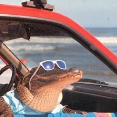 Jamshid Pulatov, 25.10, Ташкент