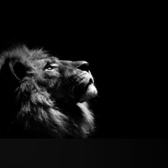 Асхат Укубасов, 07.10.1993, Алматы