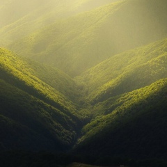 Инна Зайцева, 19.07