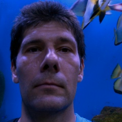 Боря Александрович, 28.02, Донецк