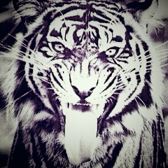 Къурайш Тушаев, 28.07.1999, Валерик