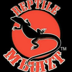 Umar Faruq, 31.03.1981