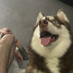 Alex Arakelyan, 26.03