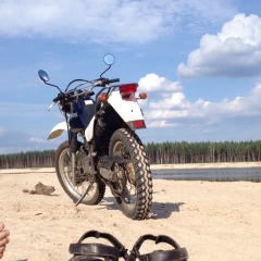 Леонид Дробышев, Санкт-Петербург