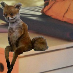 Александр Архипов, 28.12.1991, Полтава