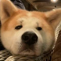 Данила Уваров, 04.10