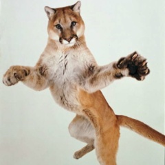 Михаил Сергеевич, 01.01.1951, Санкт-Петербург