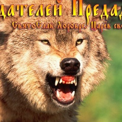 Сергей Сорокин, 05.09, Анадырь