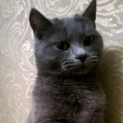 Игорь Замараев, 07.12.1988, Челябинск