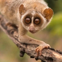 Танюшка Фролова, 01.09, Пермь