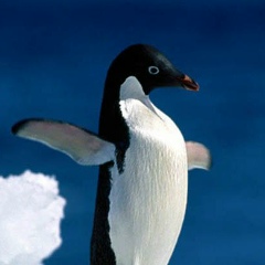 Александр Дмитриевич, 21.02