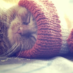 Настена Широких, 14.12, Нижний Тагил