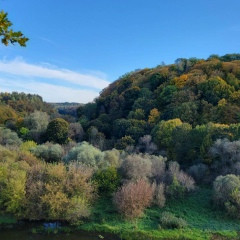 Oleksandr Red, 11.03, Ровно
