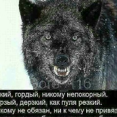 Адлан Сайханов, 29.10.1999, Гудермес