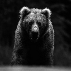 Владимир Воротеляк, 04.11, Экибастуз