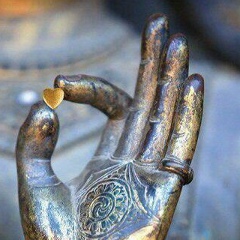 Irina Perkhurova, 10.05, New York City