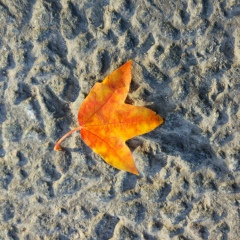 Олег Олег, 01.11.1984, Санкт-Петербург