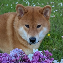 Евгения , 15.04.2010