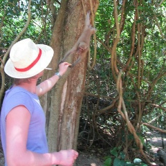 Roman Trishin, 22.10, Москва