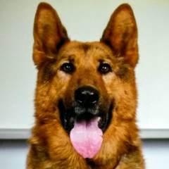 Артем Петров, Санкт-Петербург