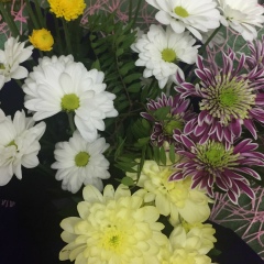 Татьяна Колчаг, 12.01.1981, Степногорск