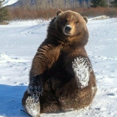 Дмитрий Звягинцев, 18.07.1981, Ростов-на-Дону