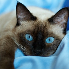 Наталья Полякова, 20.02, Санкт-Петербург