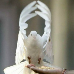 Ea K, 30.03, Караганда