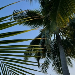 Светлана Горбань, 25.07.2006, Невинномысск