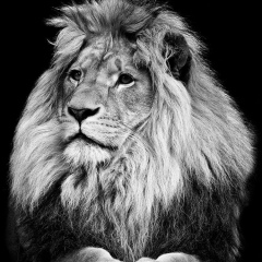 Батырхан Эрмахан, 24.04, Шымкент