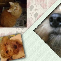 Танюша Соклакова, 08.08.1987, Киев