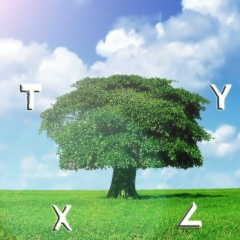 Дингез Гьокбий, Москва