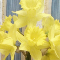 Аленка Савченко-Якуба, 01.03, Харьков