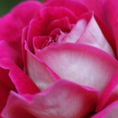 Елена Тищенко, 21.09, Санкт-Петербург