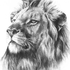 Андрей Ефимов, 12.04.1988, Москва