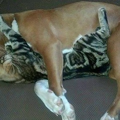 Светлана Качурина, 01.06.1970, Санкт-Петербург