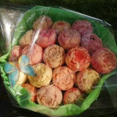 Вера Середина, 08.10, Новосибирск