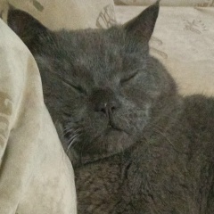 Екатерина Гаврина, 08.11, Ижевск