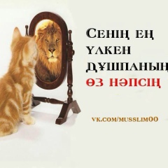 Алия Бакыткызы, 27.11, Актау