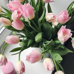 Фарида Эфендиева, Москва