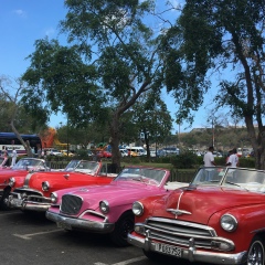 Макс Борщевский, 09.02, Санкт-Петербург