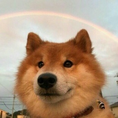 Clausthaler Original, 06.03, Москва