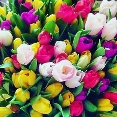 Лайла Юсупова, Нижнее Казанище