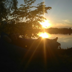 Ihor Podolian, 17.11, Киев