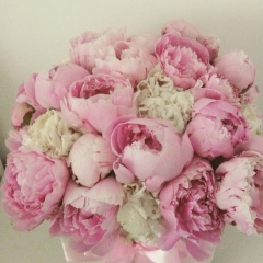 Яна Бастун, 02.12, Макат