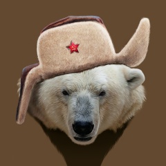 Никита Крайнов, 17.02, Санкт-Петербург