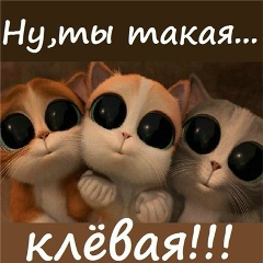 Лиза Лысенко, 12.03.1999, Ангарск