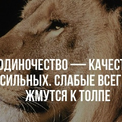 Nikname Bapt, Мелитополь