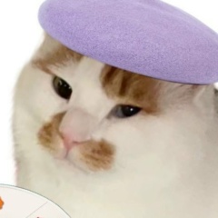 Ната Котик, 23.09, Москва